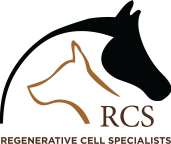 RCS-Logo-01